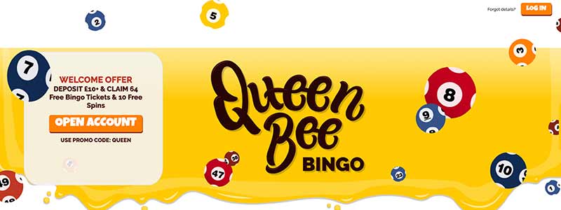 sreenshot queenbeebingo interface